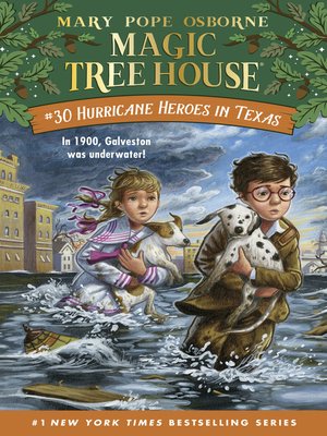 cover image of Hurricane Heroes in Texas